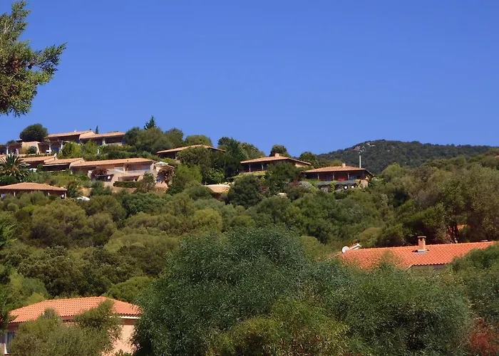 Superbe Type Mini Vue Panoramique